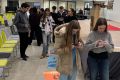 Schüler bei Gruppenarbeit 2